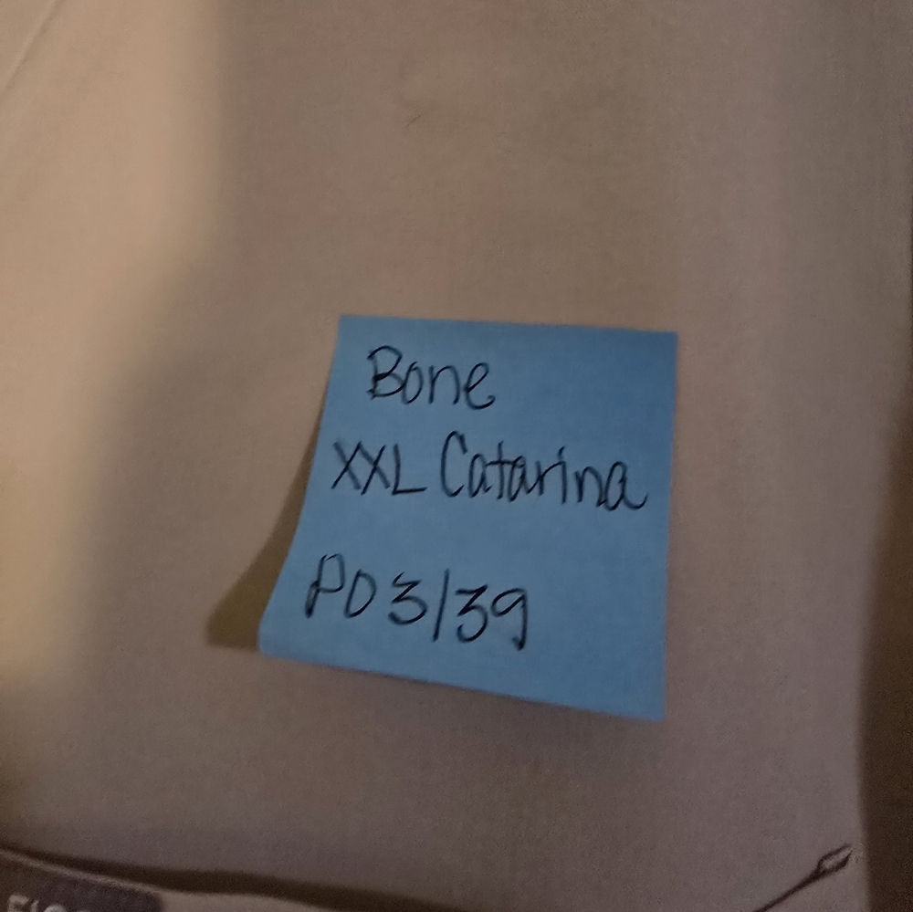 Figs XXL Bone Caterina top